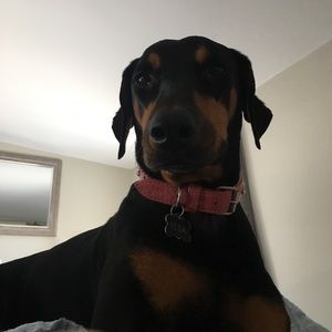 Meet your Posher, Kate